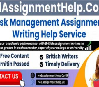 Risk Management Assignment Help By No1AssignmentHelp.Co.UK