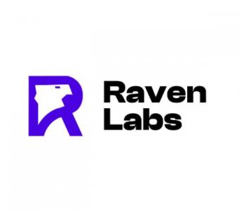 Account in Zoho CRM  - Raven Labs