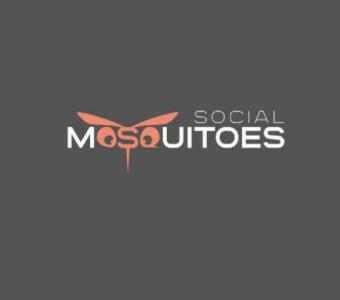 Best Website Development Company in Delhi - Social Mosquitoes