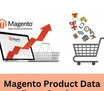 Magento Product Data Entry Services | Accurate & Efficient Solutions