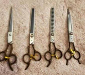 Professional Dog Grooming Shears for Precision Cuts | PARR Grooming Supplies