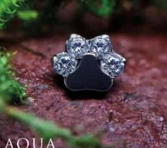 Purchase Jewelry Paw Circonia at Aqua Piercing - Expect Spectacular Coupons!