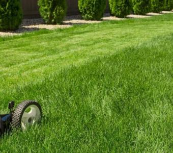 B&B Lawn Care | Lawn Care Service | Landscaper in Dunn