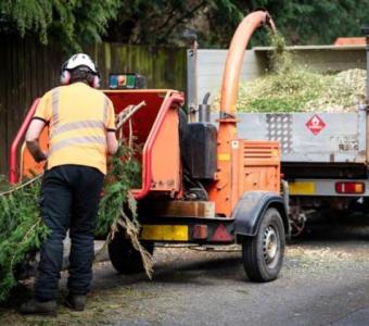 LBA Farms LLC | Tree Service | Arborist Service Gilbert