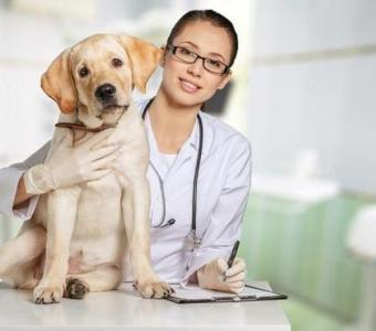 Trusted Pet Care Veterinary Center for Happy Pets