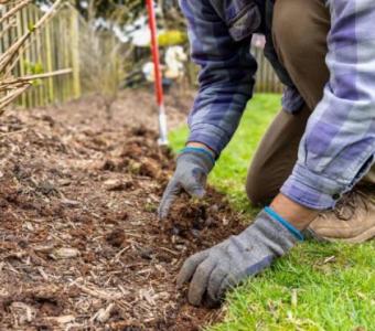 The Guardians Green Turf | Landscaper | Landscape Designer in Los Angeles