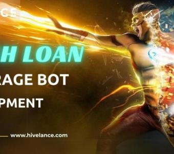 Your Flash Loan Bot Solutions by the Experts - Hivelance