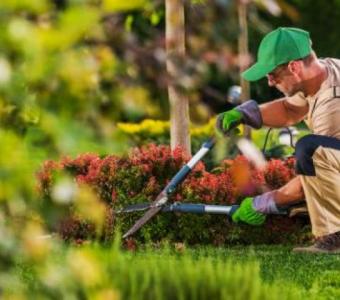 Cancun Landscape | Landscaper | Lawn Care Service in Farmers Branch