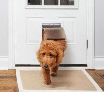 French Doors with Dog Door Built In | Lewisville, TX