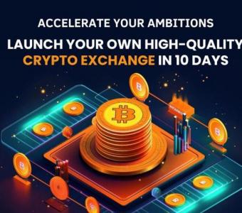 Develop Your Crypto Exchange Software at low Cost from hivelance